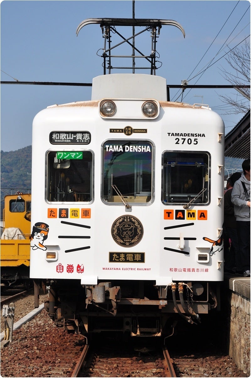 たま電車