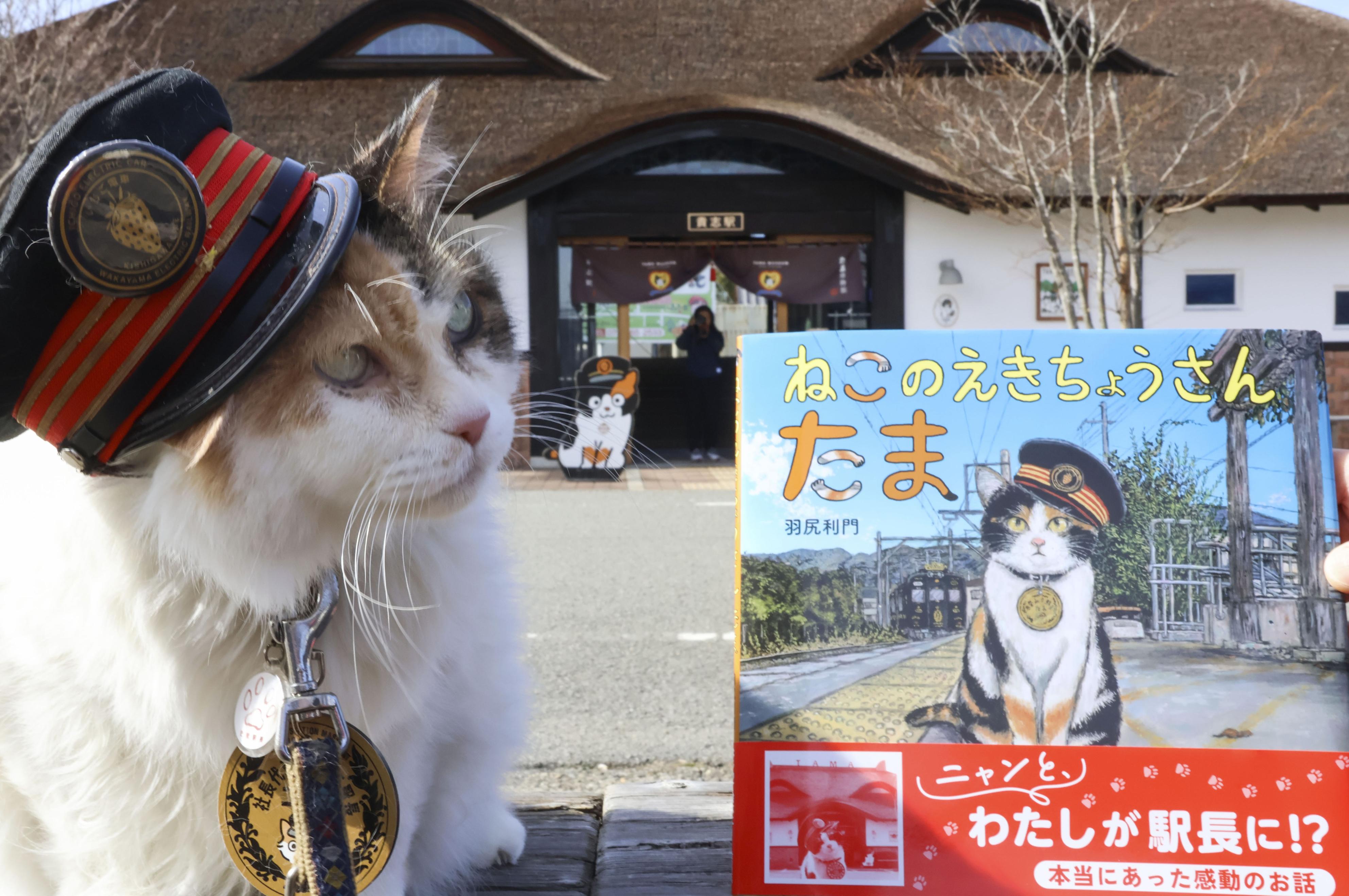 よんたま